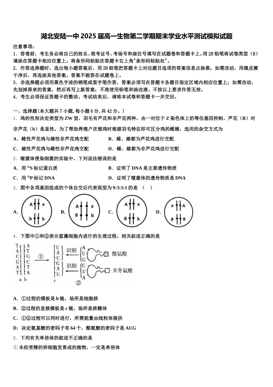 湖北安陆一中2025届高一生物第二学期期末学业水平测试模拟试题含解析_第1页