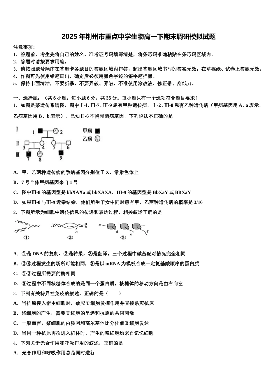 2025年荆州市重点中学生物高一下期末调研模拟试题含解析_第1页