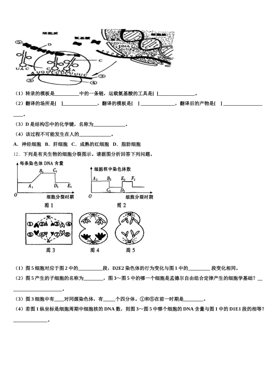 湖北省松滋市四中2025年高一下生物期末经典试题含解析_第3页