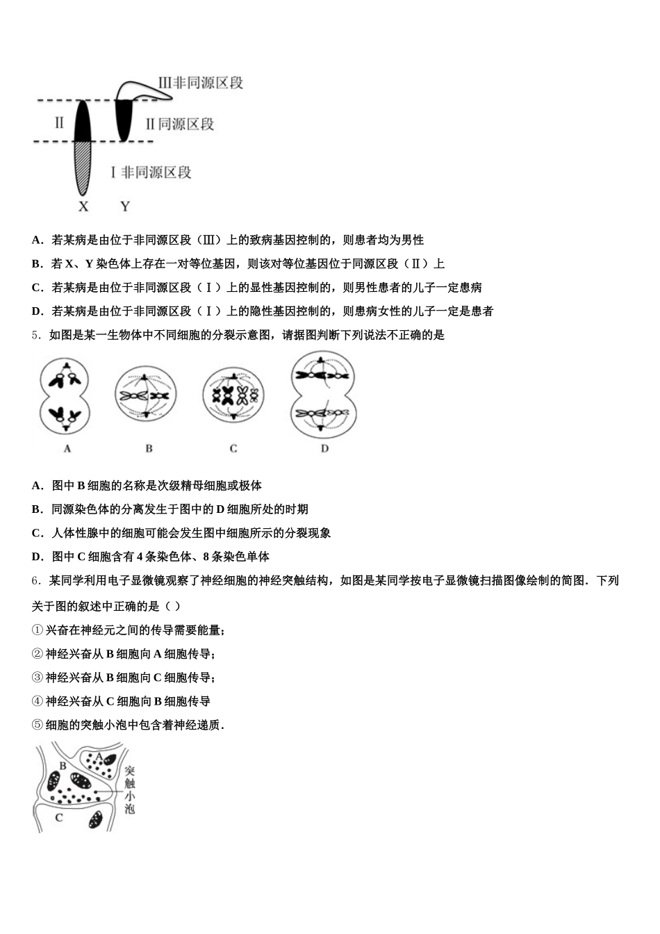 广西玉林市福绵区2025年高一生物第二学期期末达标检测试题含解析_第2页