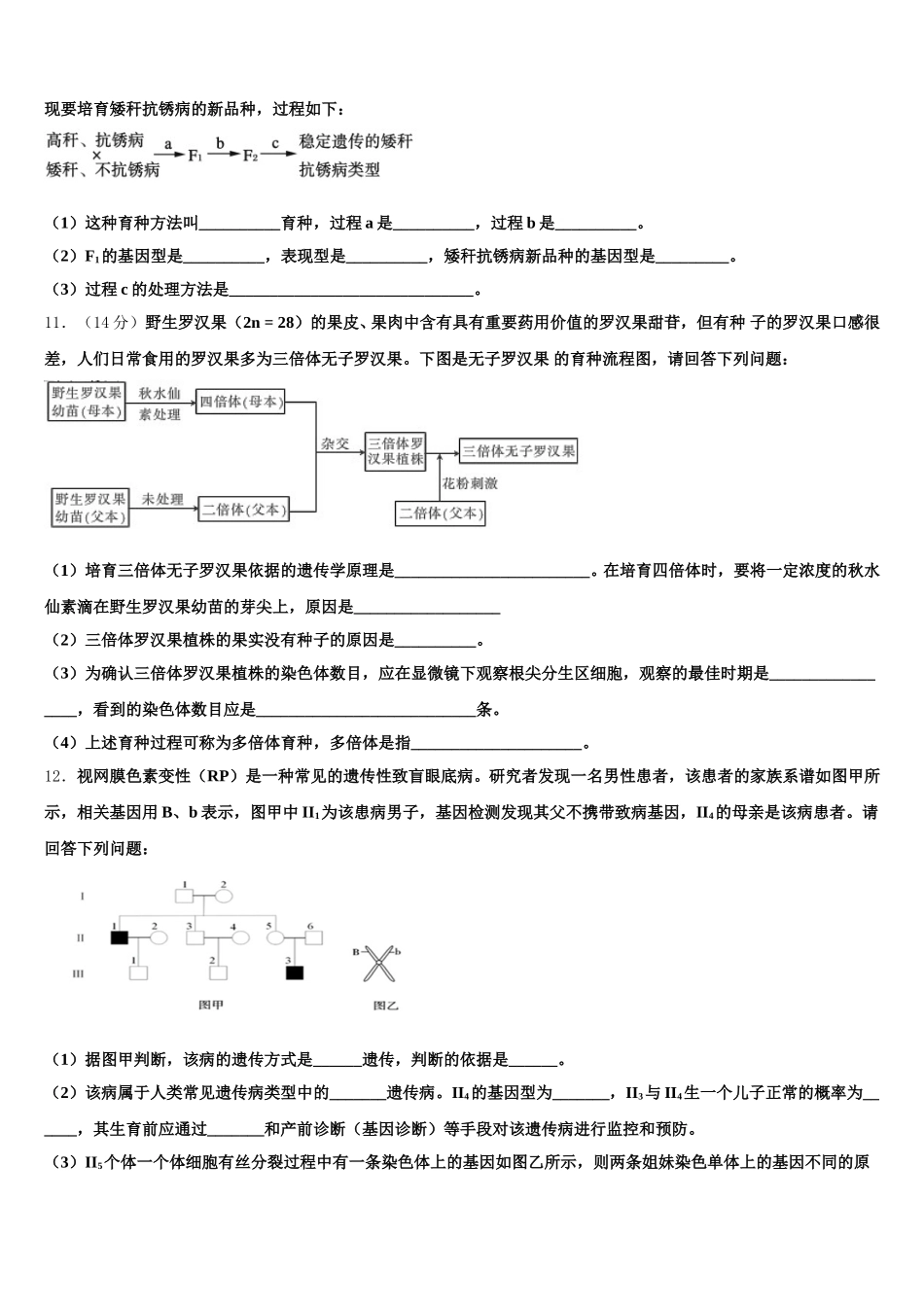 2024-2025学年广西北流市明瑞高级中学生物高一第二学期期末达标检测模拟试题含解析_第3页
