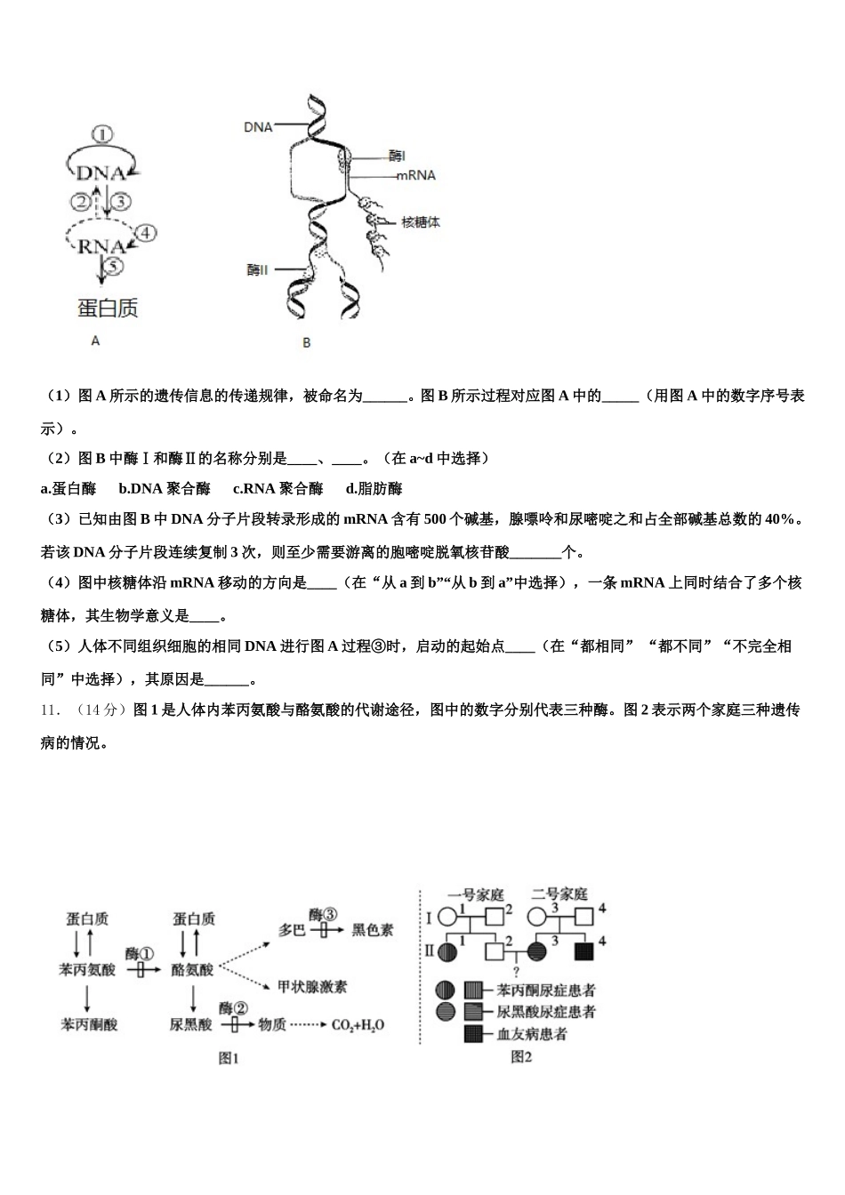广西省桂林市2025年生物高一下期末检测模拟试题含解析_第3页