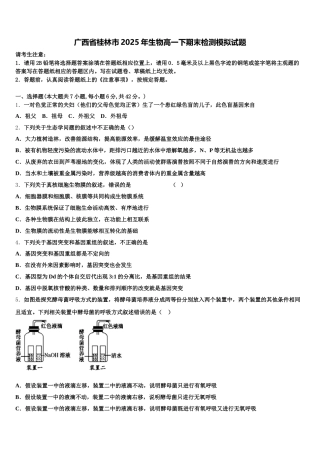 广西省桂林市2025年生物高一下期末检测模拟试题含解析