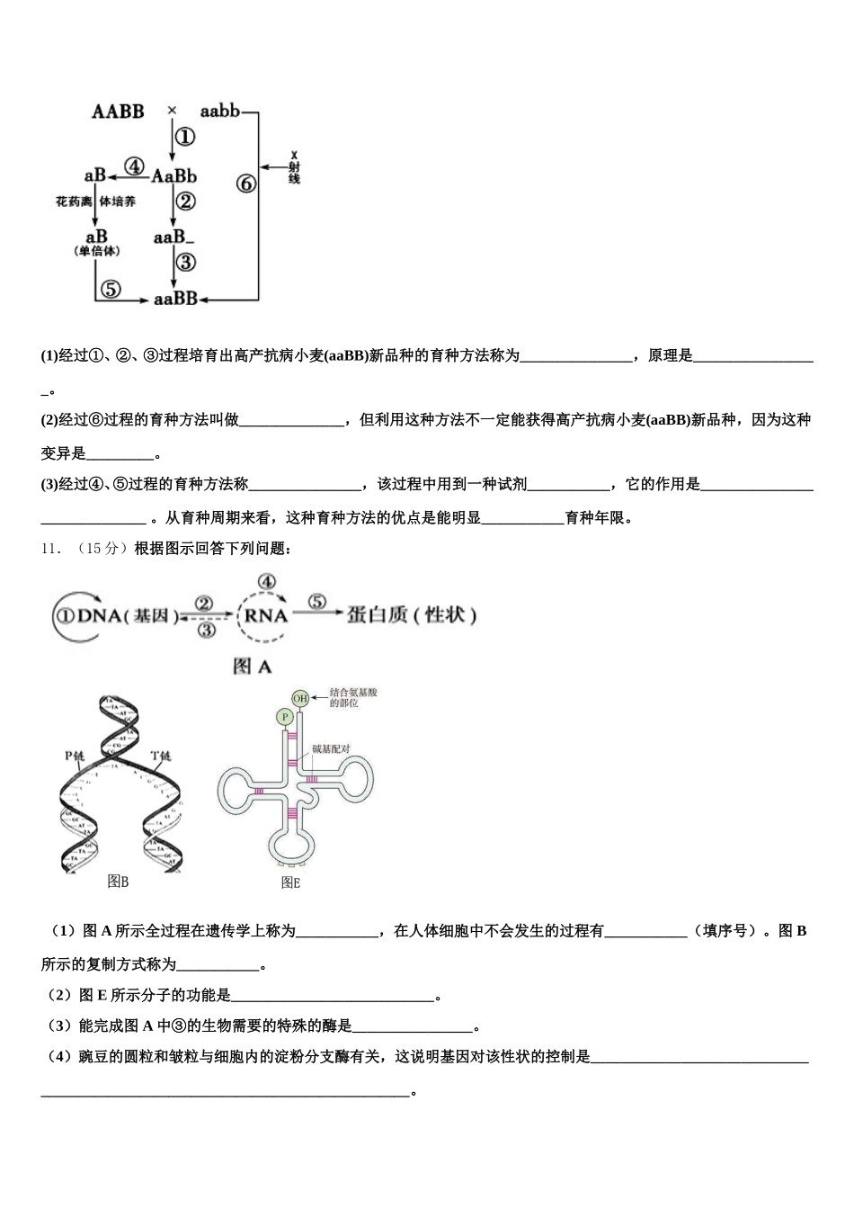 2025年广西贵港市高级中学生物高一下期末调研试题含解析_第3页