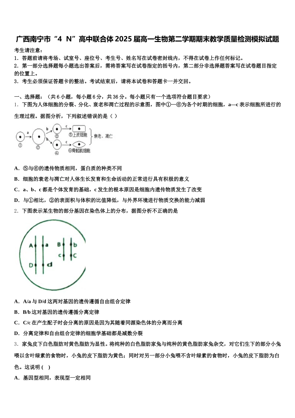 广西南宁市“4  N”高中联合体2025届高一生物第二学期期末教学质量检测模拟试题含解析_第1页
