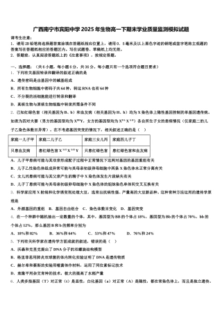 广西南宁市宾阳中学2025年生物高一下期末学业质量监测模拟试题含解析