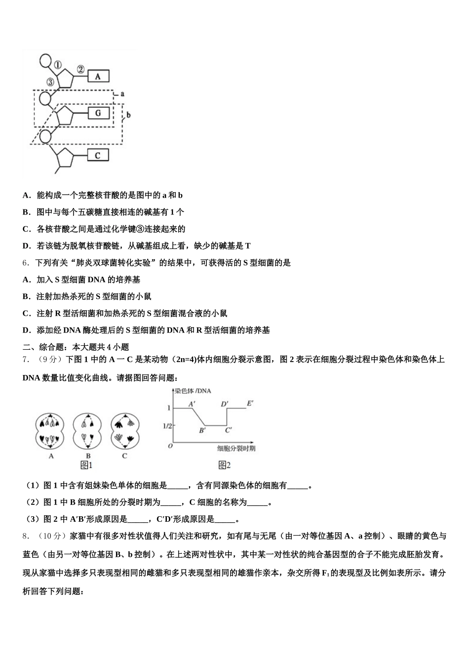 2025年广西壮族自治区南宁市第三中学生物高一下期末预测试题含解析_第2页