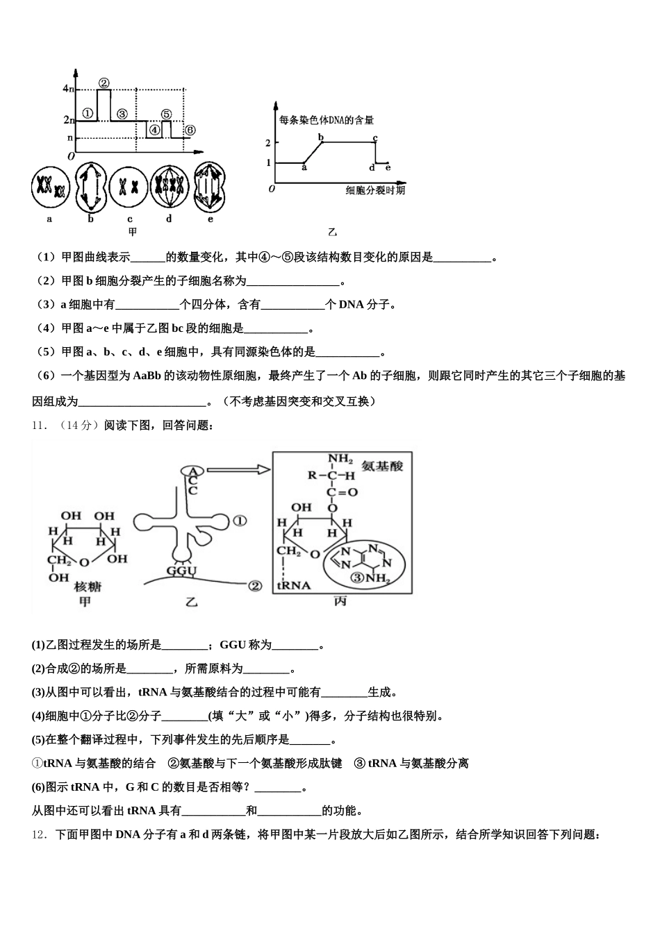 广西融水苗族自治县中学2025届生物高一下期末质量跟踪监视试题含解析_第3页