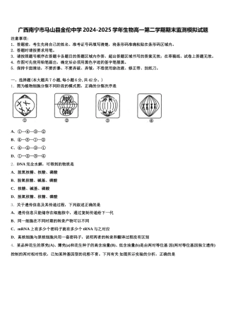 广西南宁市马山县金伦中学2024-2025学年生物高一第二学期期末监测模拟试题含解析