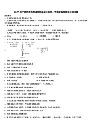 2025年广西贵港市覃塘高级中学生物高一下期末教学质量检测试题含解析