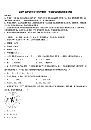 2025年广西省贺州市生物高一下期末达标检测模拟试题含解析