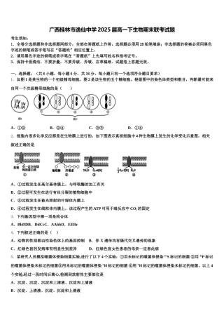 广西桂林市逸仙中学2025届高一下生物期末联考试题含解析