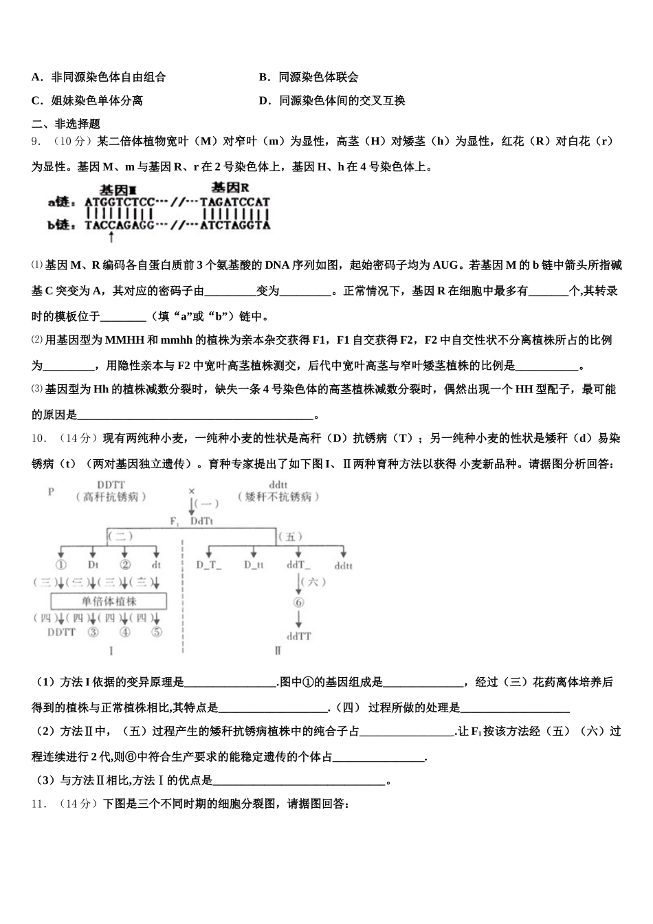 2025年广西玉林市福绵高级中学生物高一下期末质量检测试题含解析_第3页