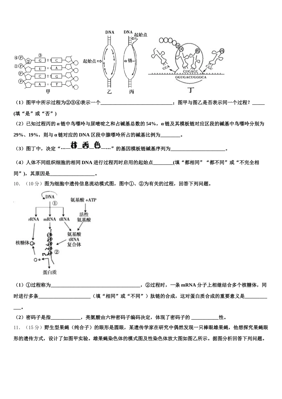 广西省南宁市2024-2025学年高一下生物期末质量检测模拟试题含解析_第3页