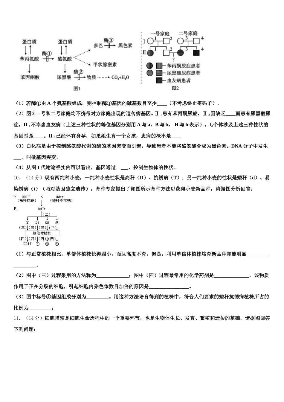 2025届广西南宁市金伦中学、华侨、新桥、罗圩中学生物高一第二学期期末检测试题含解析_第3页