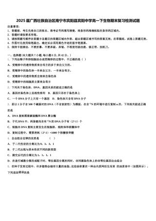 2025届广西壮族自治区南宁市宾阳县宾阳中学高一下生物期末复习检测试题含解析