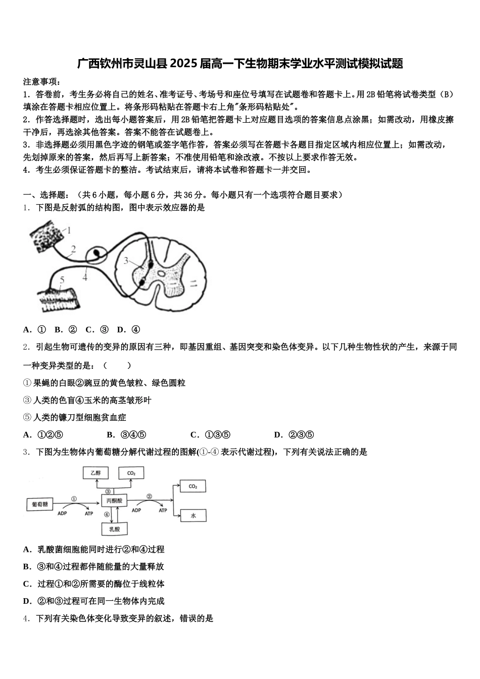 广西钦州市灵山县2025届高一下生物期末学业水平测试模拟试题含解析_第1页