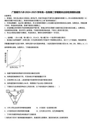 广西南宁八中2024-2025学年高一生物第二学期期末达标检测模拟试题含解析