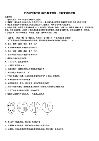广西南宁市二中2025届生物高一下期末调研试题含解析