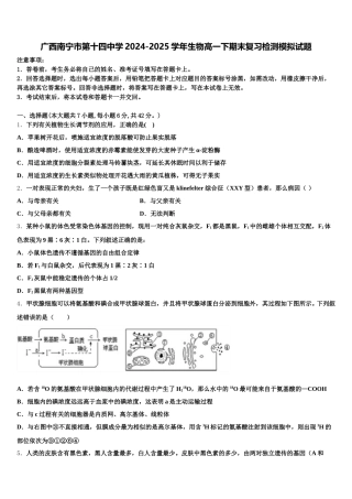 广西南宁市第十四中学2024-2025学年生物高一下期末复习检测模拟试题含解析