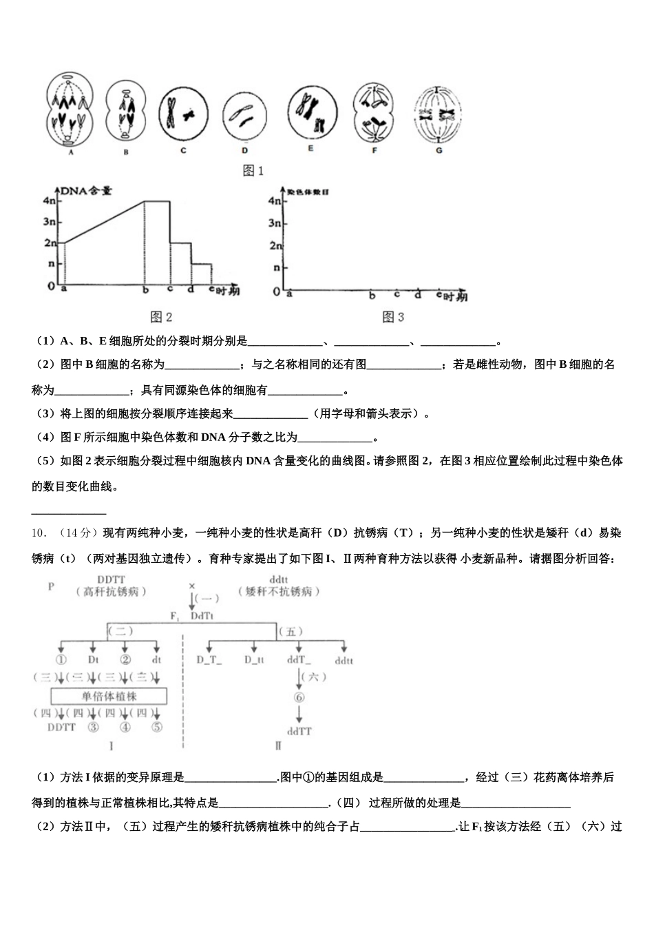 2025届广西贵港市港南中学高一下生物期末教学质量检测试题含解析_第3页