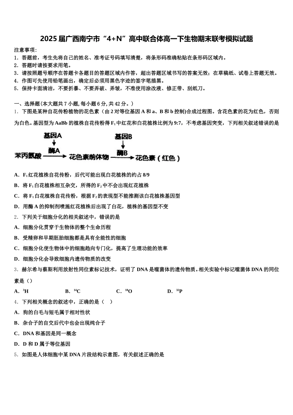 2025届广西南宁市“4+N”高中联合体高一下生物期末联考模拟试题含解析_第1页