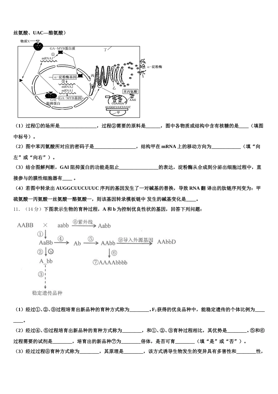 2025届广西南宁市“4+N”高中联合体高一下生物期末联考模拟试题含解析_第3页