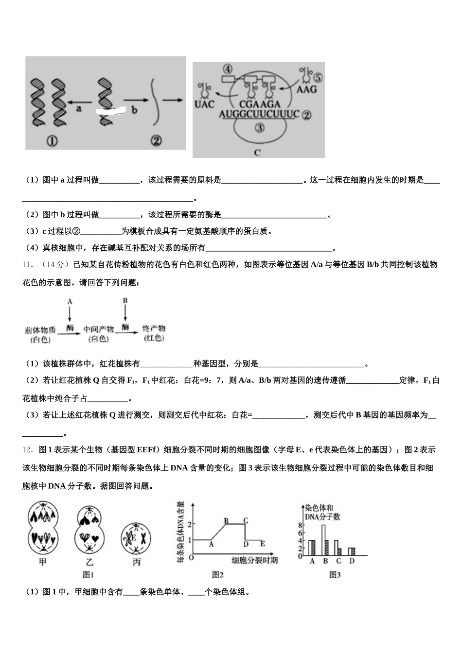 2025年广西柳州市铁一中学生物高一第二学期期末综合测试模拟试题含解析_第3页