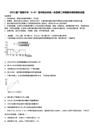 2025届广西南宁市“4+N”高中联合体高一生物第二学期期末调研模拟试题含解析