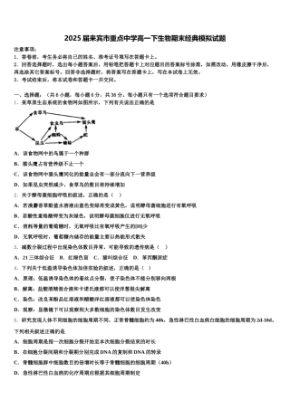 2025届来宾市重点中学高一下生物期末经典模拟试题含解析