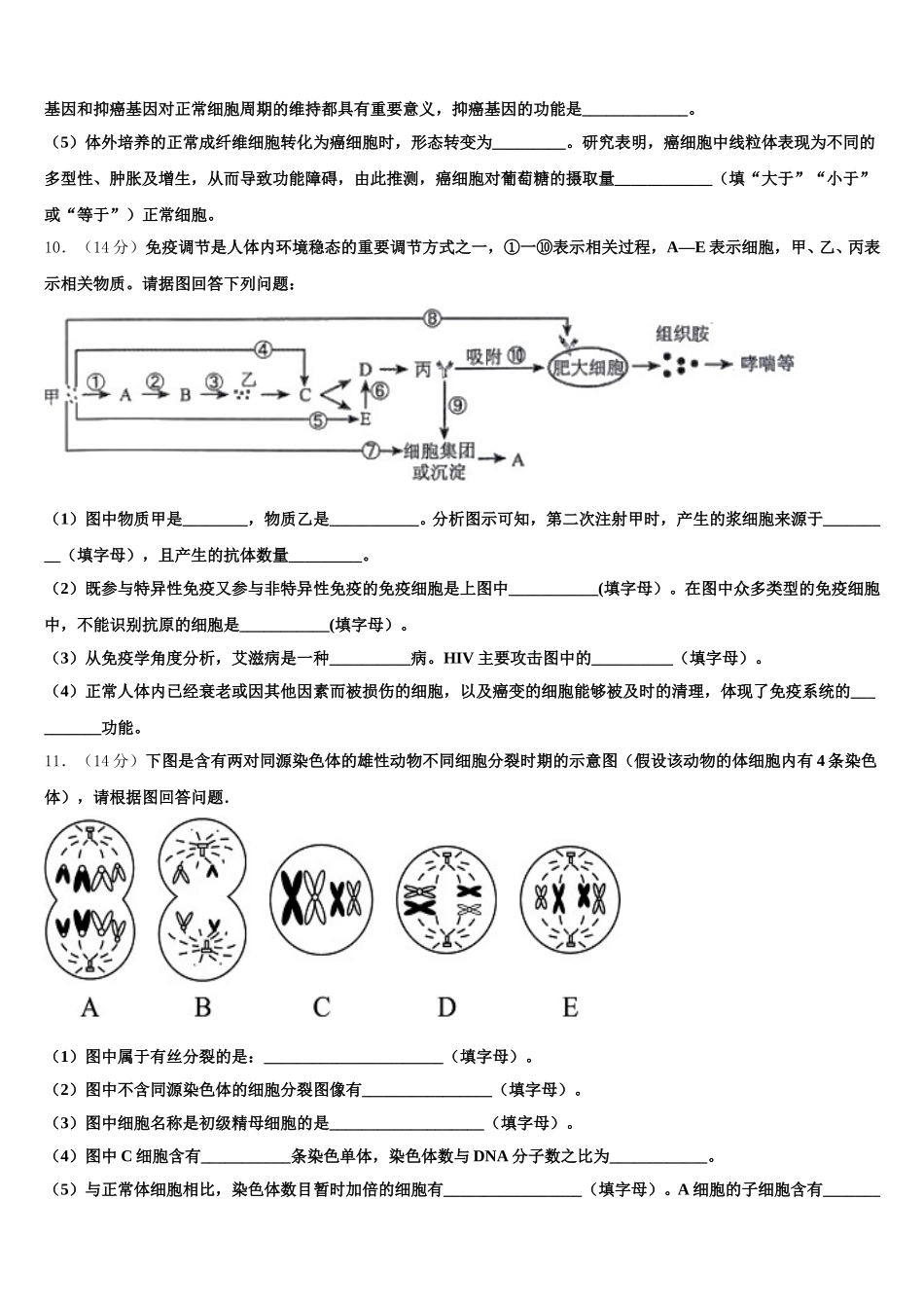 2025年广西防城港市生物高一下期末统考模拟试题含解析_第3页