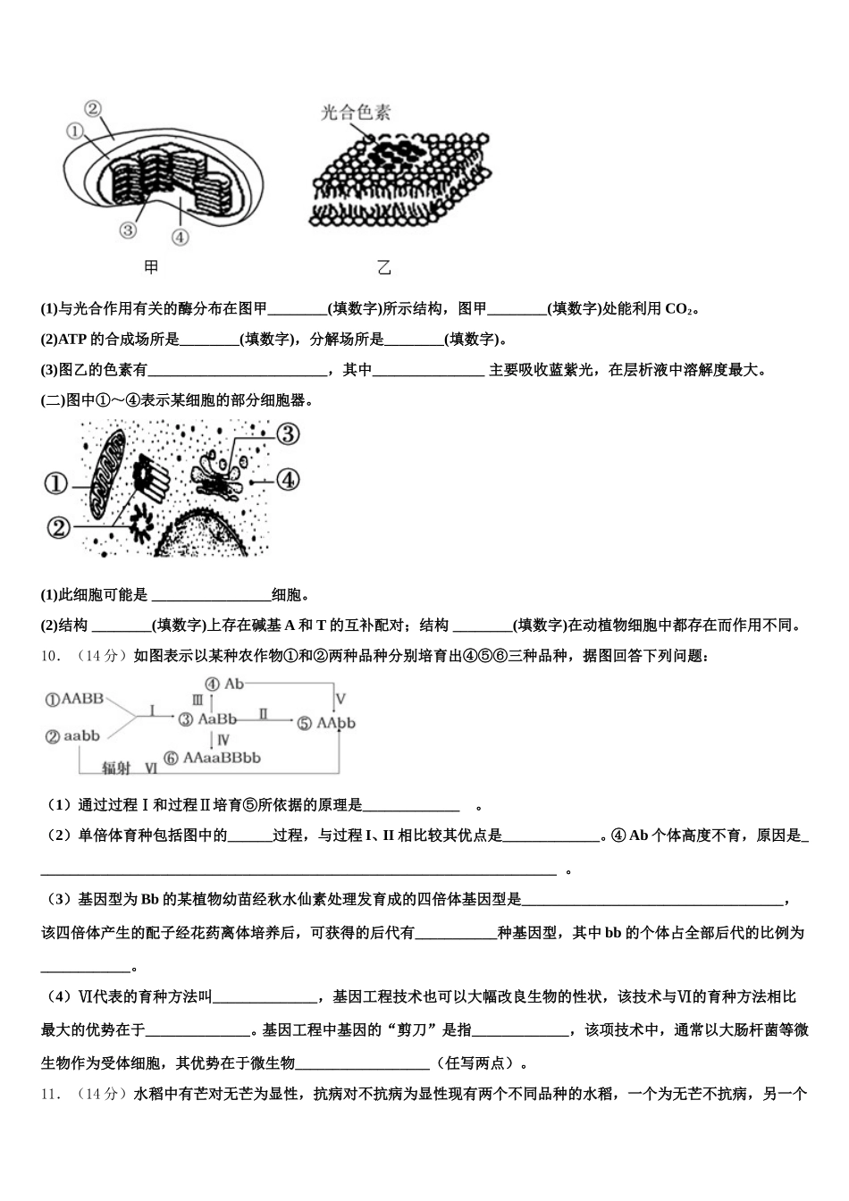 广西钦州港经济技术开发区中学2025届生物高一第二学期期末学业水平测试模拟试题含解析_第3页