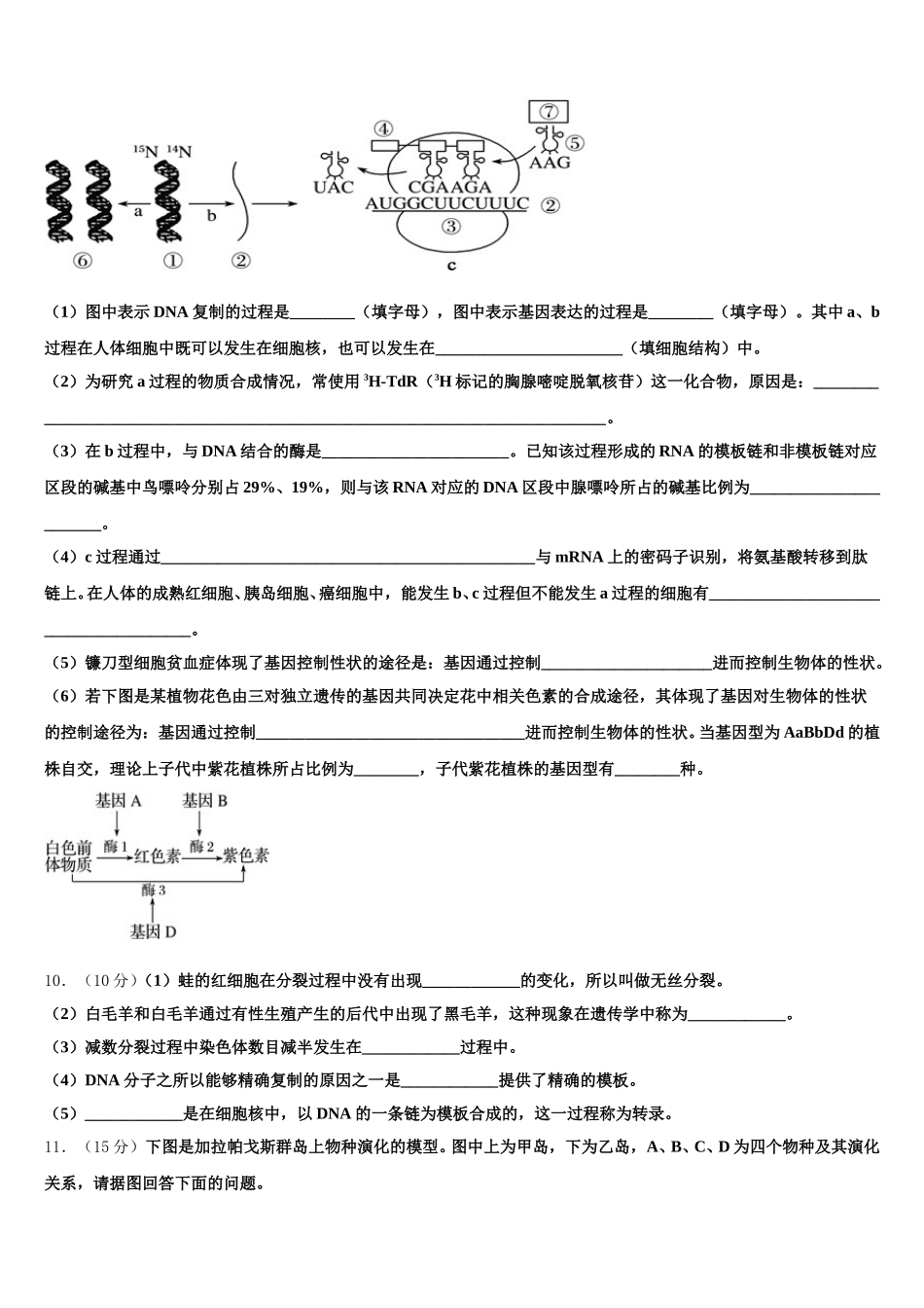 2025届广西河池市高级中学高一下生物期末达标测试试题含解析_第3页