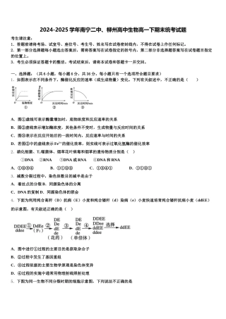 2024-2025学年南宁二中、柳州高中生物高一下期末统考试题含解析