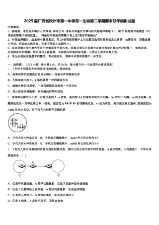 2025届广西省钦州市第一中学高一生物第二学期期末联考模拟试题含解析