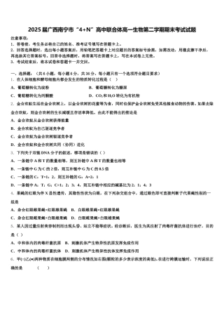 2025届广西南宁市“4+N”高中联合体高一生物第二学期期末考试试题含解析