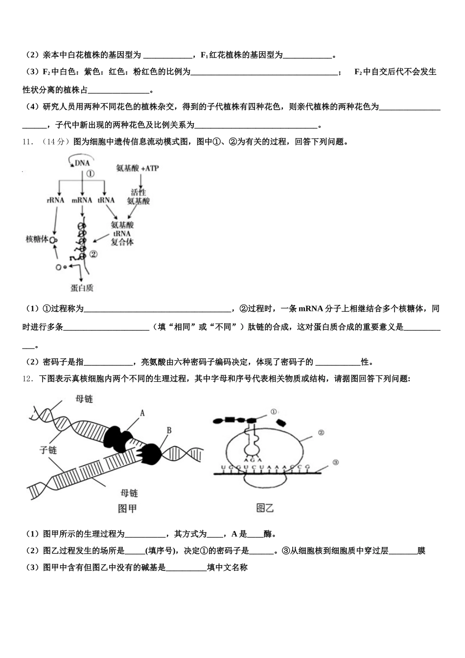 广西壮族自治区南宁市宾阳县宾阳中学2025年生物高一下期末质量跟踪监视试题含解析_第3页