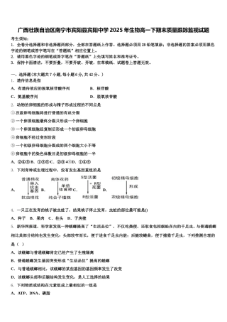 广西壮族自治区南宁市宾阳县宾阳中学2025年生物高一下期末质量跟踪监视试题含解析