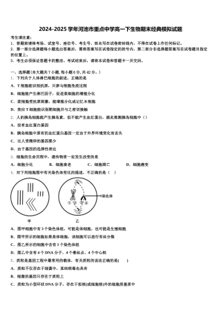 2024-2025学年河池市重点中学高一下生物期末经典模拟试题含解析
