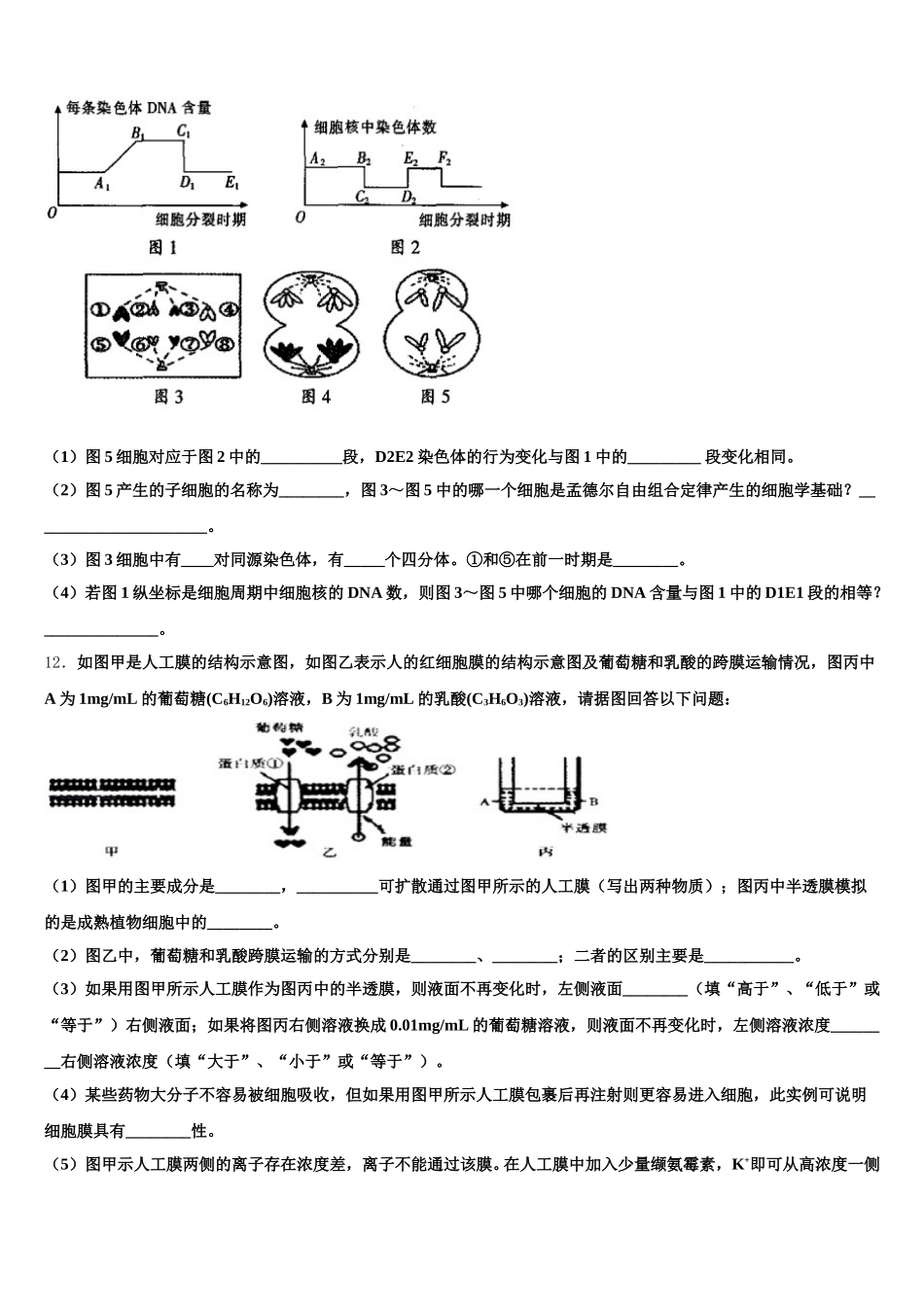 2025年广西桂林市第十八中学高一下生物期末复习检测模拟试题含解析_第3页