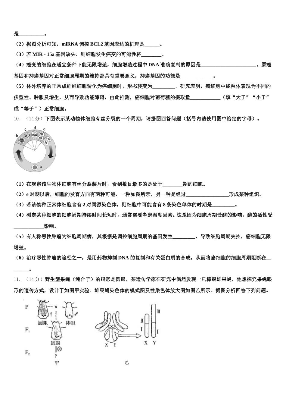 2025届广西南宁市第八中学生物高一下期末学业质量监测模拟试题含解析_第3页