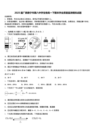 2025届广西南宁市第八中学生物高一下期末学业质量监测模拟试题含解析