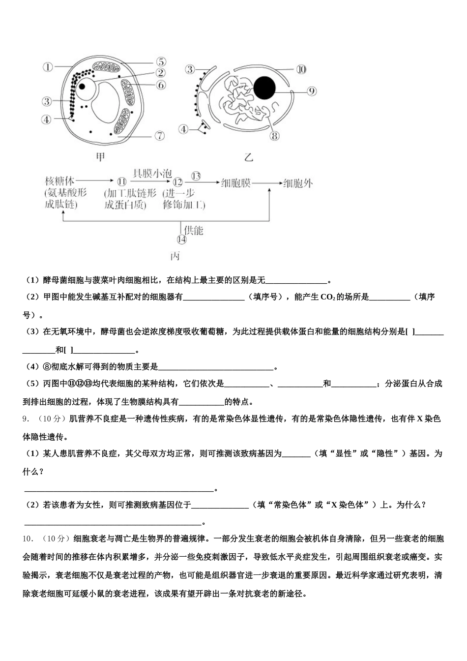 广西贵港市港南中学2025届高一下生物期末检测模拟试题含解析_第3页