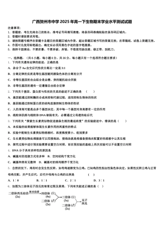 广西贺州市中学2025年高一下生物期末学业水平测试试题含解析