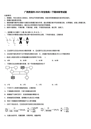 广西贵港市2025年生物高一下期末联考试题含解析