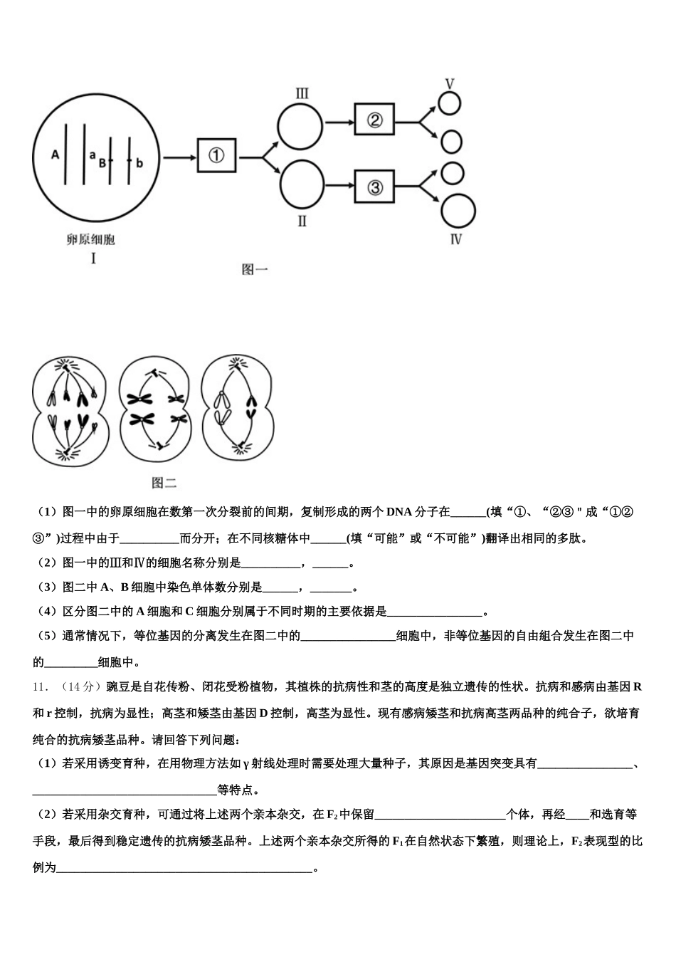 广西贺州市平桂管理区平桂高级中学2025届高一生物第二学期期末统考试题含解析_第3页