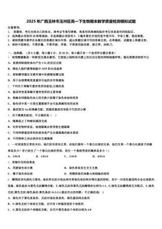 2025年广西玉林市玉州区高一下生物期末教学质量检测模拟试题含解析
