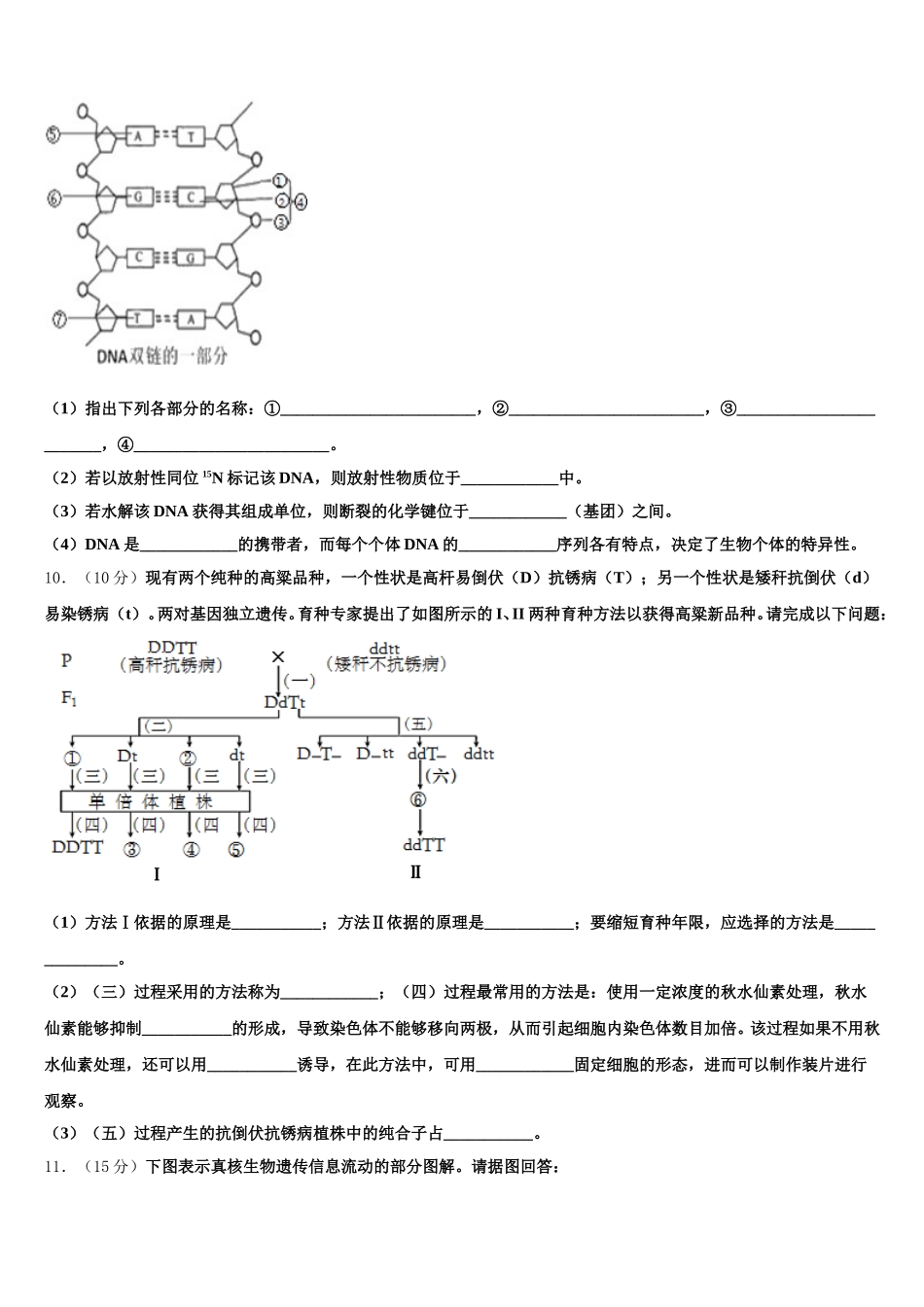 2025年广西桂林市十八中学生物高一第二学期期末教学质量检测模拟试题含解析_第3页