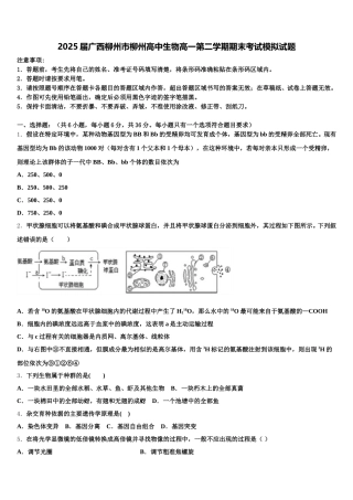 2025届广西柳州市柳州高中生物高一第二学期期末考试模拟试题含解析
