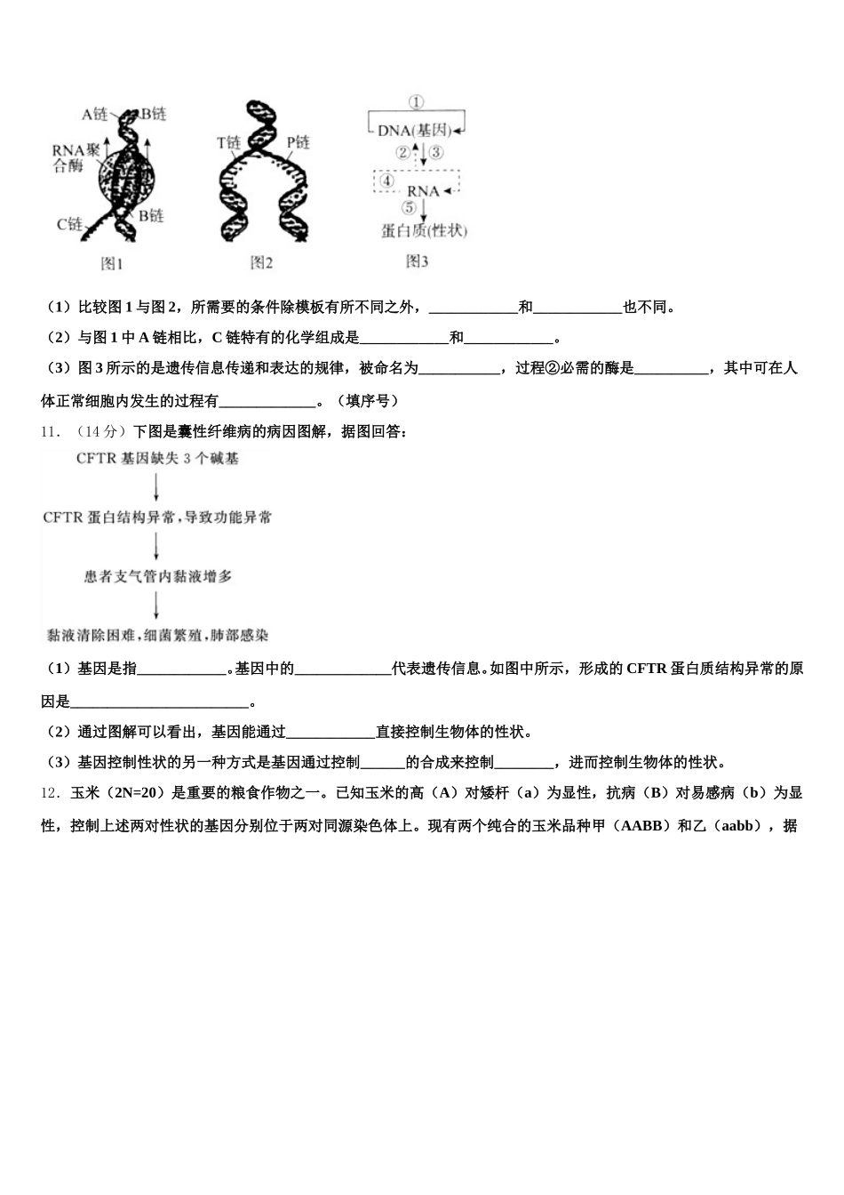 2025年广西玉林高中高一下生物期末检测试题含解析_第3页
